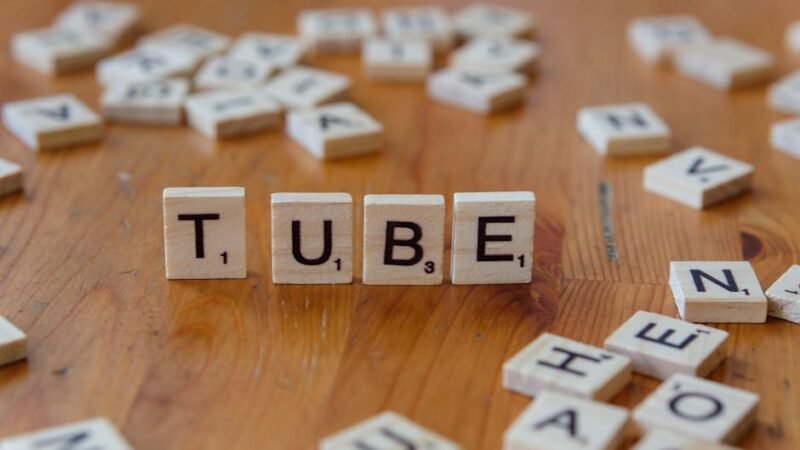 Drainage Field Failure: Common Causes and How to Fix Them