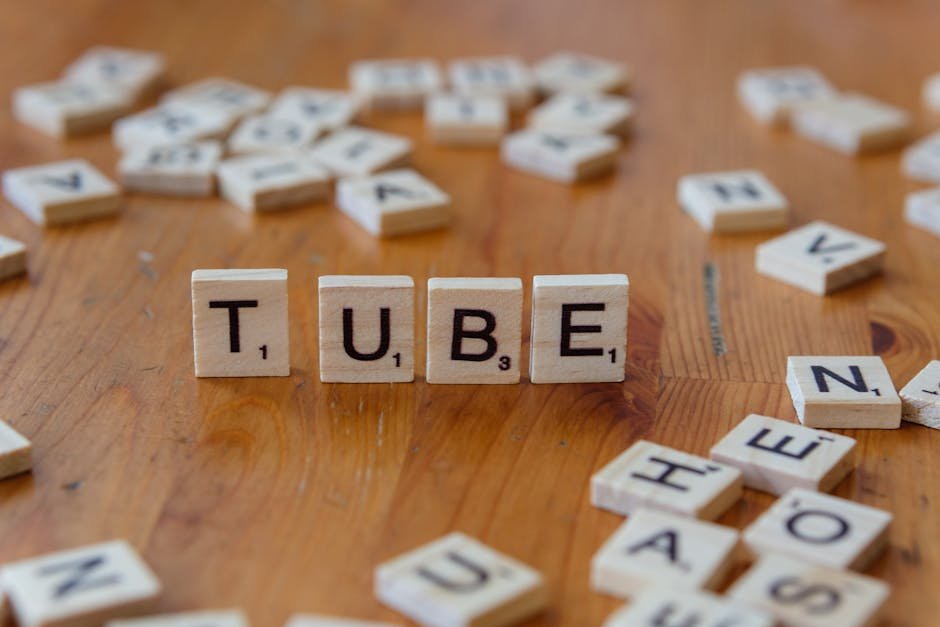 Drainage Field Failure: Common Causes and How to Fix Them