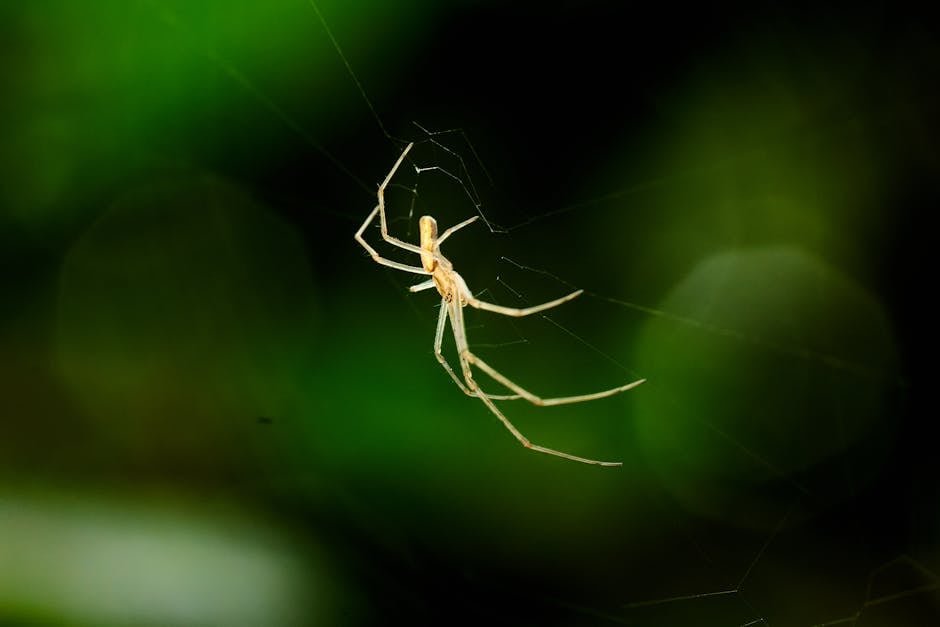 Grease Trap for Septic Tank: Essential Tips You Must Know!