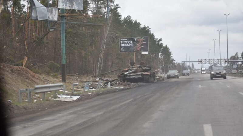 Signs of a Full Septic Tank: Are You Ignoring These Red Flags?